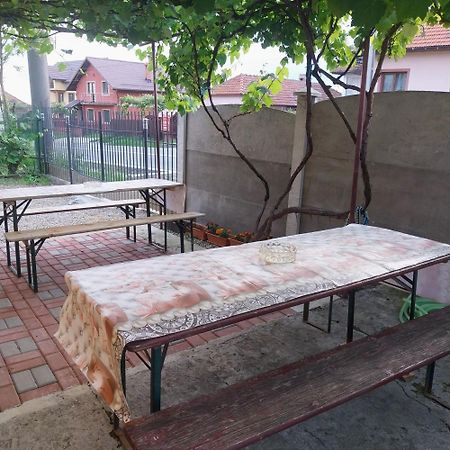Casa Andreea Ξενοδοχείο Novaci-Străini Εξωτερικό φωτογραφία